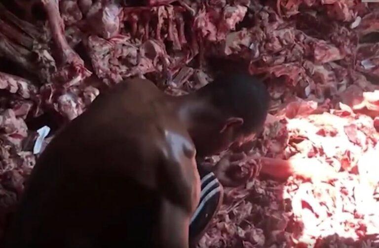 Sem comida, moradores do Rio recorrem a restos de ossos e carne rejeitados por supermercados