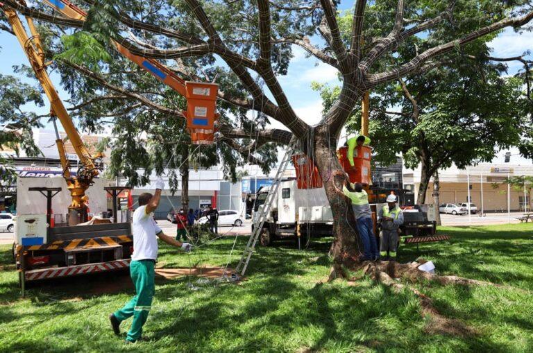 Prefeitura de Aparecida inicia montagem da iluminação especial de Natal