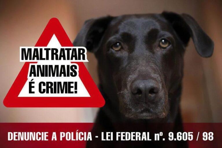 Preso homem que foi flagrado arrastando cachorro em Jaraguá