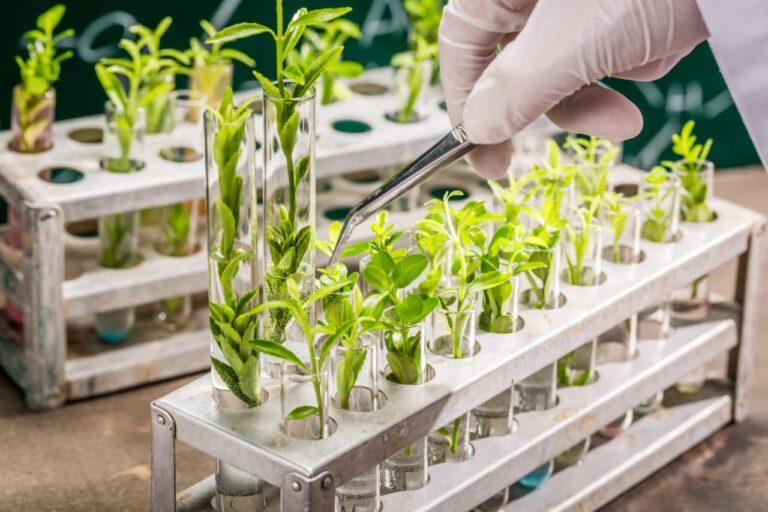 Goiás incentiva agricultor a utilizar bioinsumos