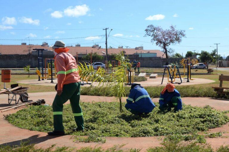 Prefeitura revitaliza 269 praças em 2021