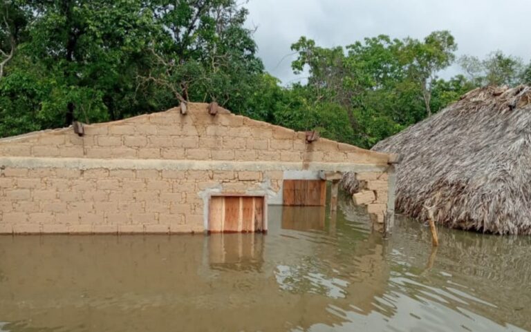 Chapada dos Veadeiros: Casas são destruídas após temporal