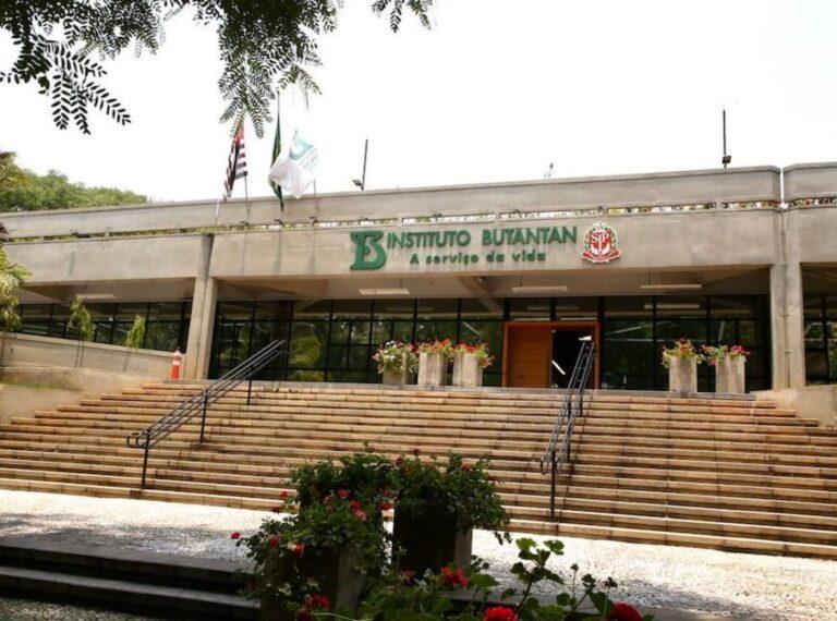 Butantan afirma que vacina da gripe protege contra H3N3