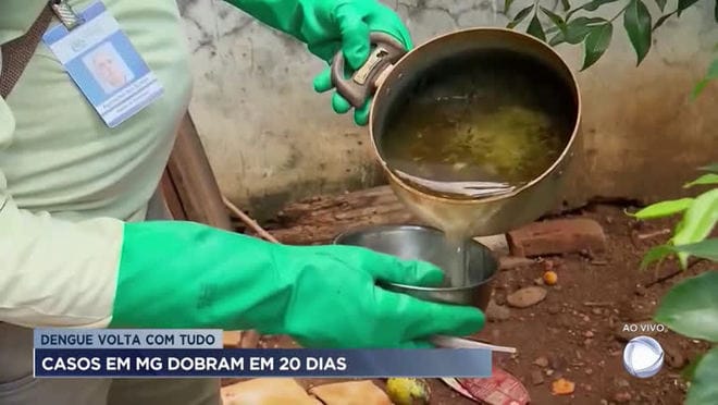 Número de casos de dengue em MG dobra em 20 dias