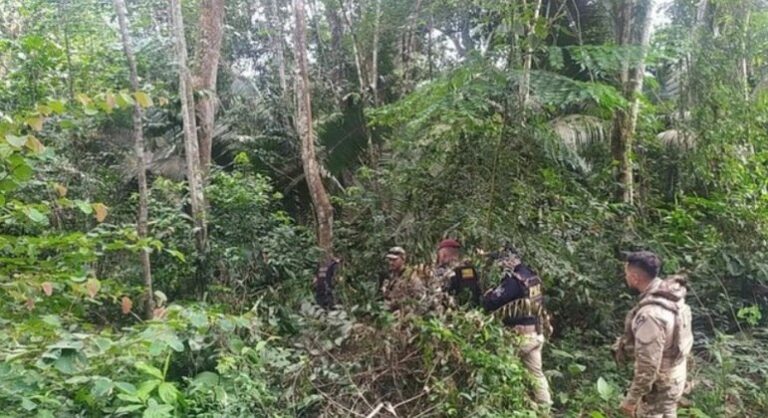 PF encontra três corpos em reserva indígena no Pará