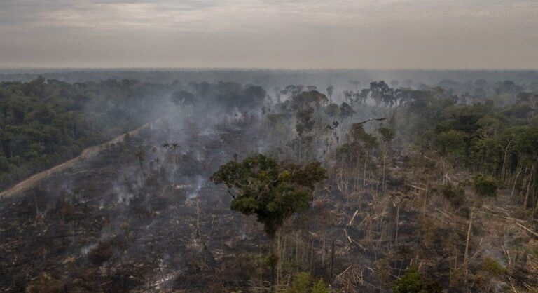STF julga decreto que exclui sociedade civil de conselho do fundo ambiental