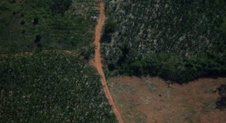 Alertas de desmatamento na Amazônia batem recorde em abril