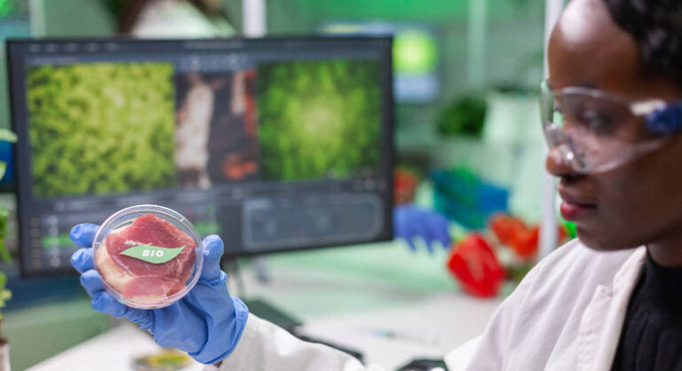 Carne à base de plantas: entenda os benefícios e se a troca vale a pena