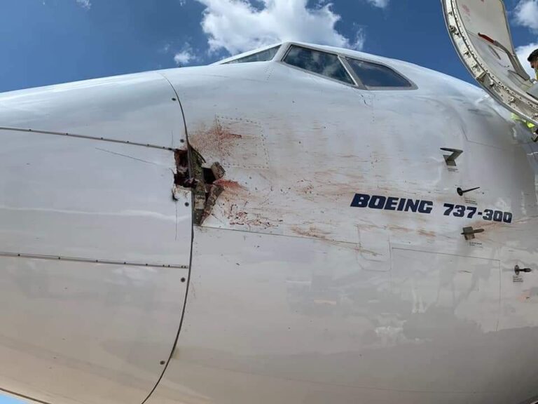 Colisão com ave deixa buraco na fuselagem de avião em Cuba