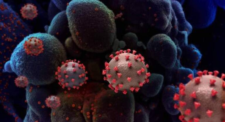 Covid-19: ES registra 1.052.586 casos confirmados desde o início da pandemia