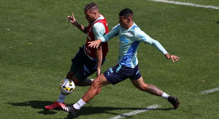 Palmeiras encerra a preparação para enfrentar a Juazeirense