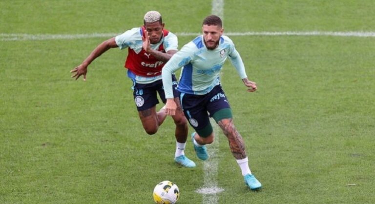 Palmeiras faz treino tático e técnico de olho no duelo com o Fluminense pelo Brasileirão