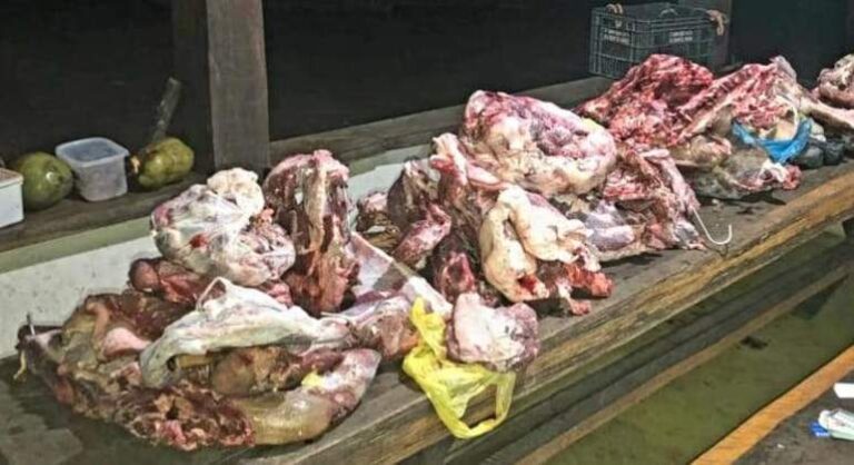 Suspeitos de envolvimento em furtos de gado são presos no norte do ES