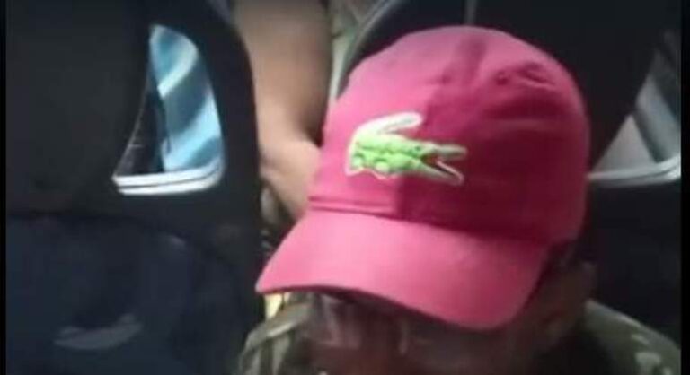 VÍDEO | Passageiros se assustam com um lagarto solto dentro de um Transcol