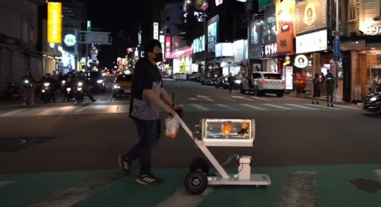 Youtuber desenvolve aquário móvel para dar rolê com peixes na rua
