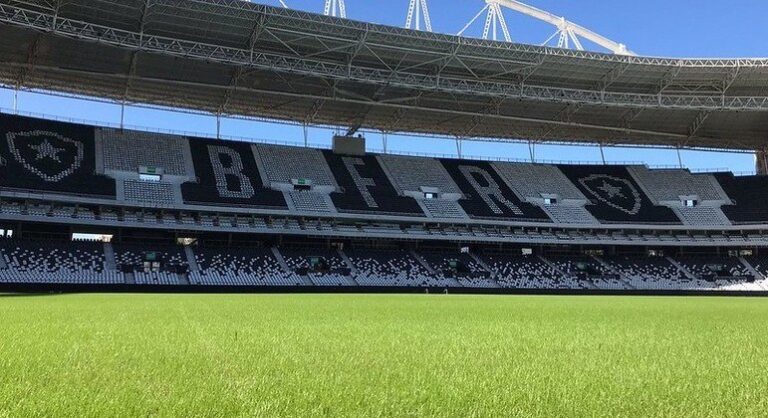 Botafogo avança em reforma do gramado do Nilton Santos