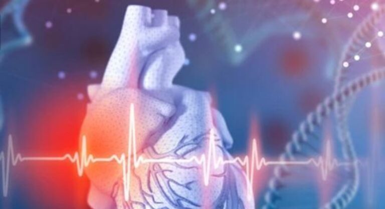 Buscar atendimento médico emergencial pode evitar 50% das mortes por infarto