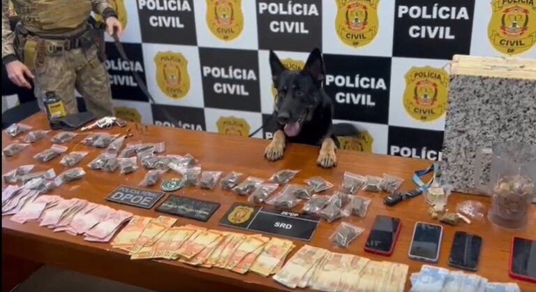 Cães farejadores ajudam polícia a encontrar drogas em operação