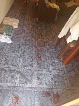 Homem invade apartamentos e ameaça moradores no DF; veja fotos