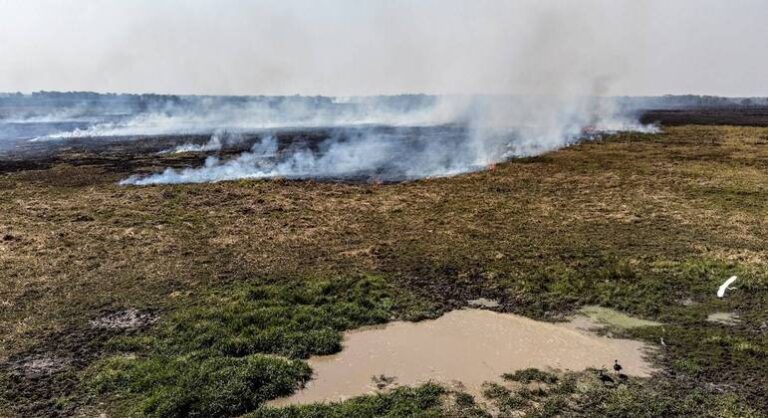 Estiagem põe em emergência 14 cidades do Pantanal no Mato Grosso do Sul