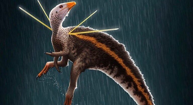 Museu alemão terá de devolver fóssil de dinossauro levado ilegalmente do Brasil