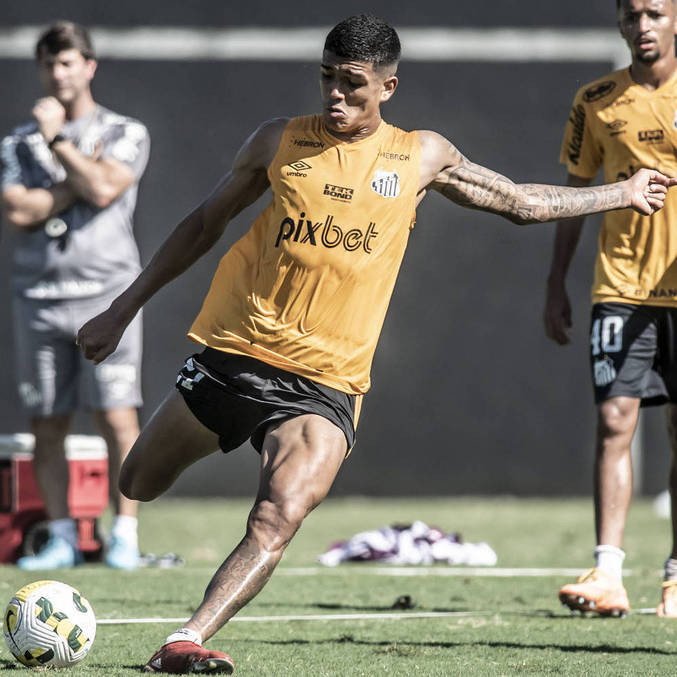 Santos conta com retornos para avançar na Copa Sul-Americana