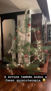 João Lamoza brinca: "A árvore também andou a fazer quimioterapia"