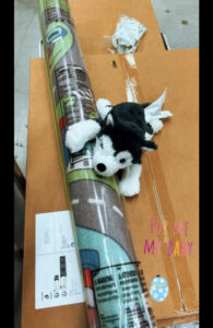 Após traições e separação, Rúben da Cruz prepara nova vida com o filho?