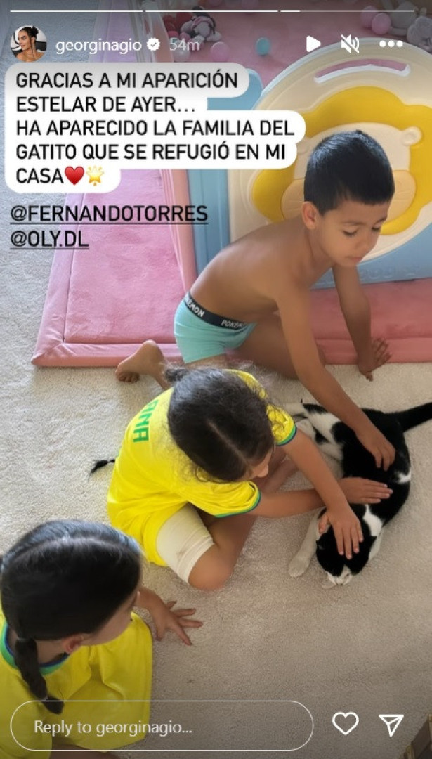 Georgina Rodríguez encontra donos de gatinho que acolheu em casa