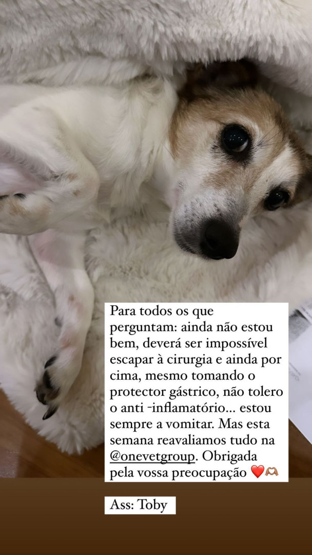 Rita Ferro Rodrigues dá novidades sobre estado de ‘patuda’ após acidente