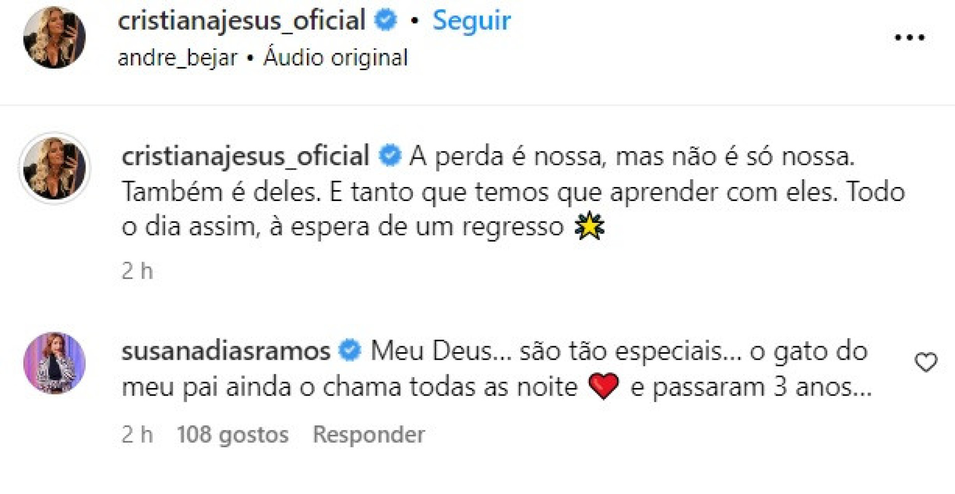Susana Dias Ramos diz que gato do falecido pai continua a "chamá-lo"