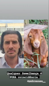 Tiago Teotónio Pereira compara ator Pedro Sousa a uma... cabra