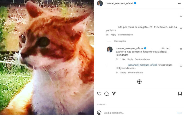 Criticado por lamentar morte de gato, Manuel Marques responde a ‘hater’
