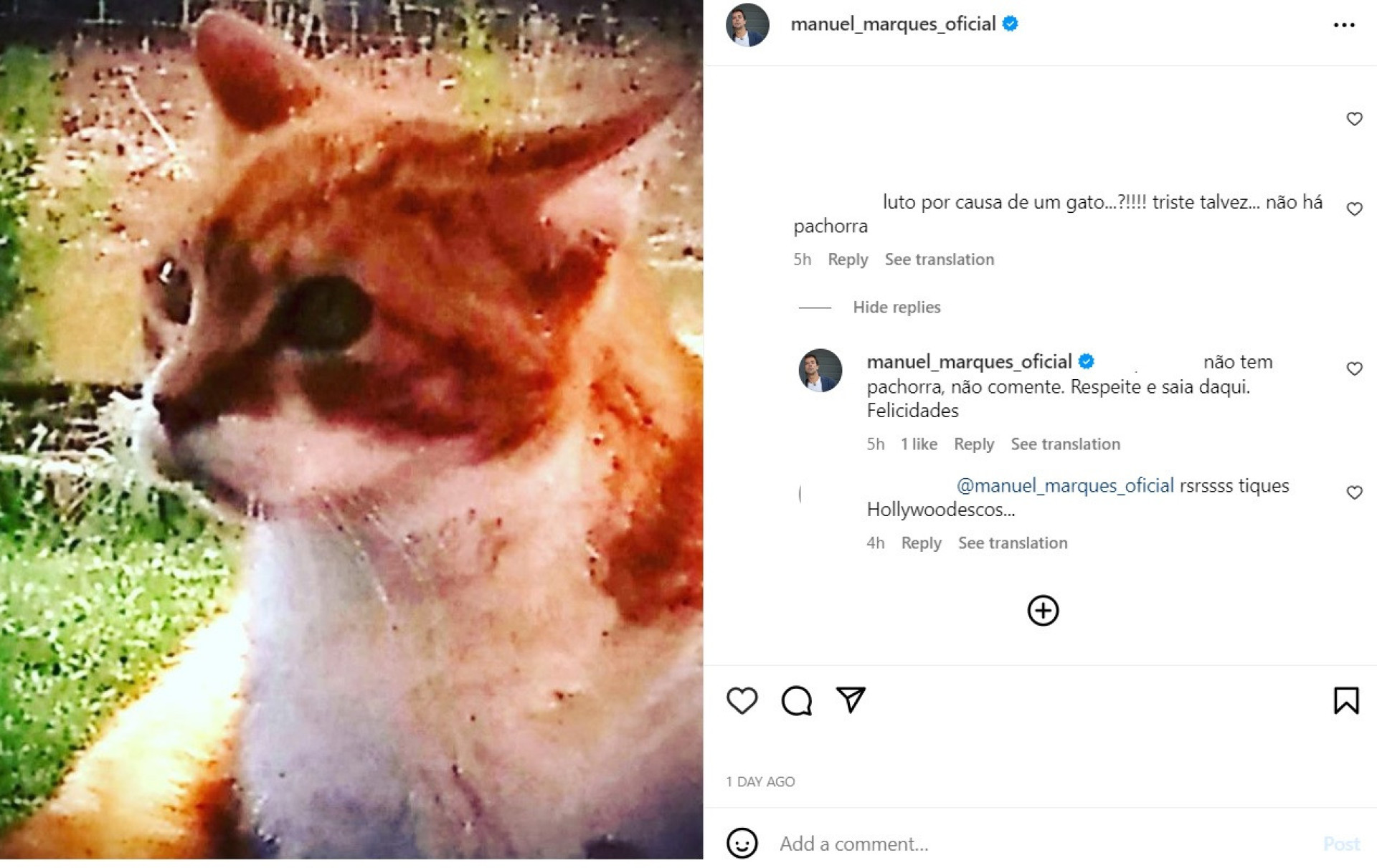 Criticado por lamentar morte de gato, Manuel Marques responde a 'hater'