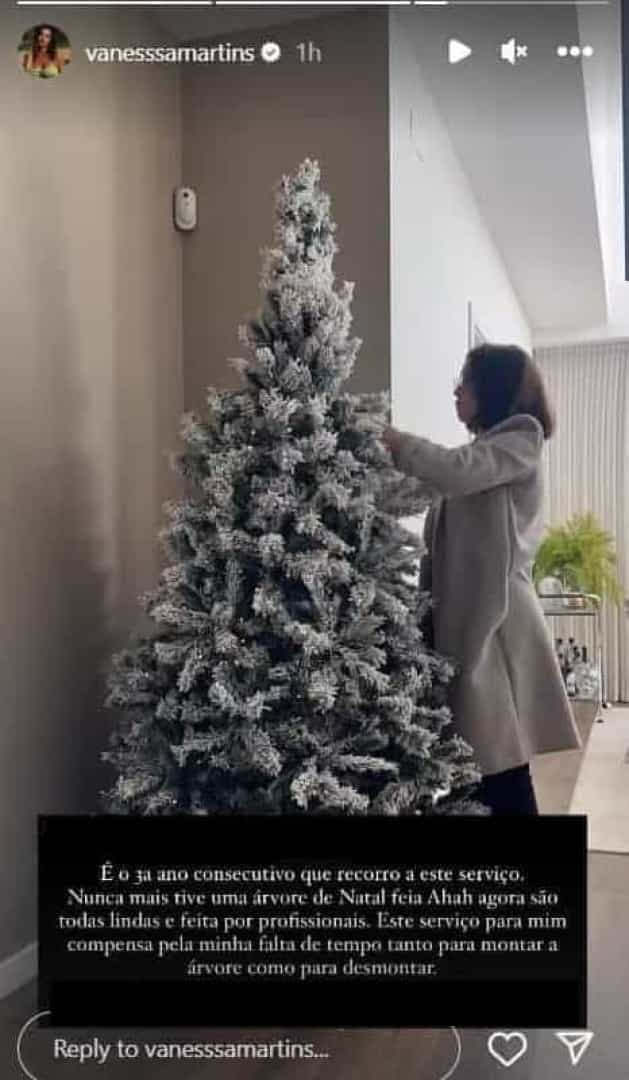 Vanessa Martins contrata empresa para montar árvore de Natal. O motivo