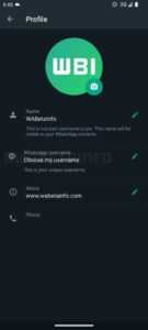 Açores. Chega votará a favor do Programa se integrar o executivo