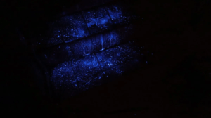 Homem que bebia sangue das vítimas após matá-las é preso