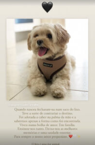 Já nasceu o filho de Alexandre Pato e Rebeca Abravanel. O nome escolhido