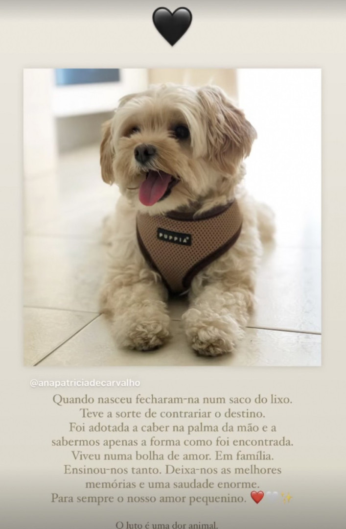 Já nasceu o filho de Alexandre Pato e Rebeca Abravanel. O nome escolhido