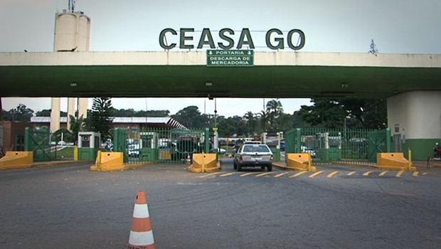 ceasa goiania