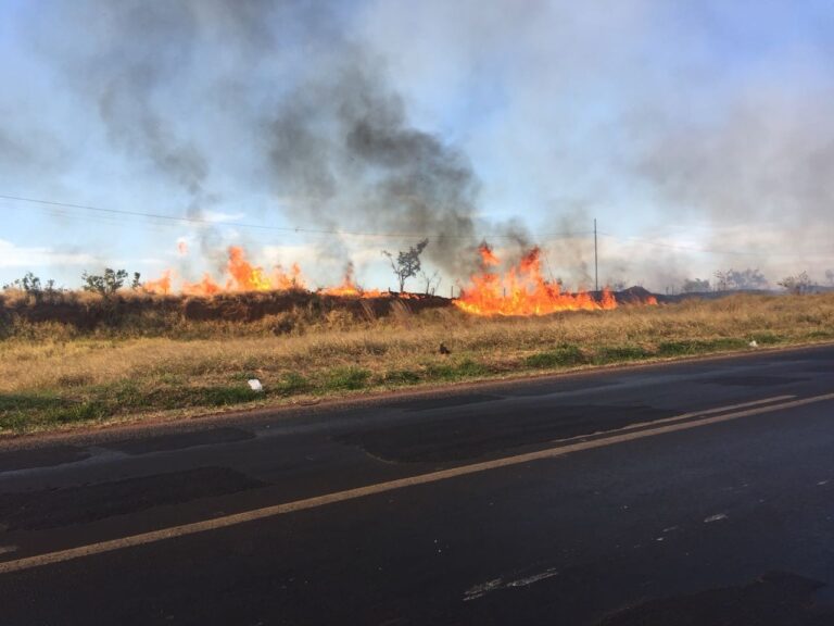 Bombeiros combatem vários focos de incêndio no Distrito Industrial em Uberlândia; veja vídeo