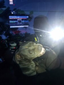 Cachorro 'sequestra' carro policial no Texas