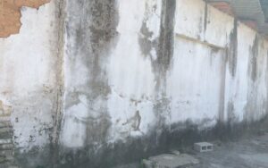 Especialistas explicam como evitar e tratar mofo nas paredes e móveis