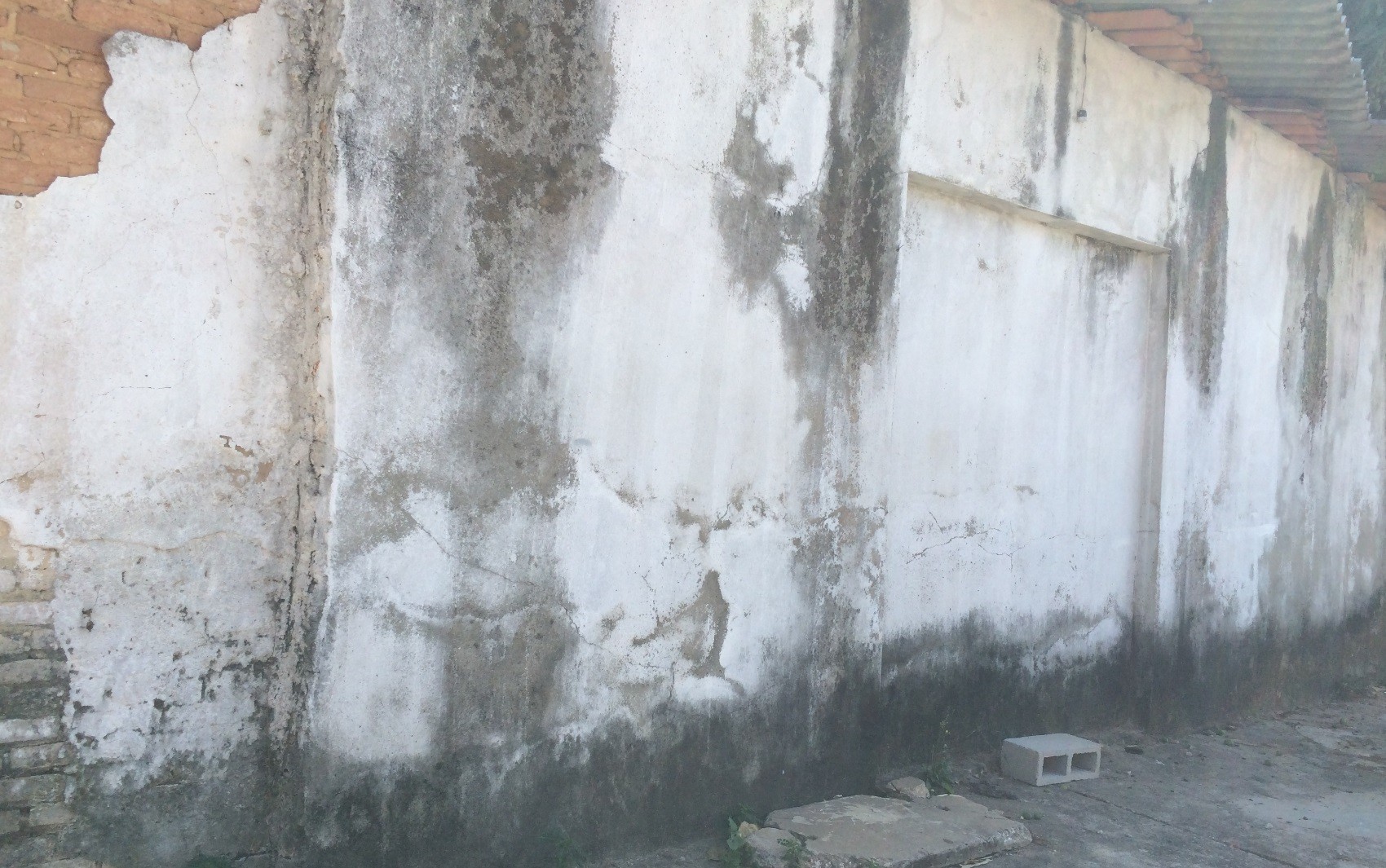 Especialistas explicam como evitar e tratar mofo nas paredes e móveis