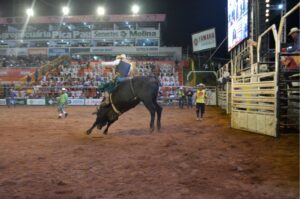 Inauguração do museu da APA, rodeio e show de Bruno e Marrone abrem a 35ª Expoari em Ariquemes, RO