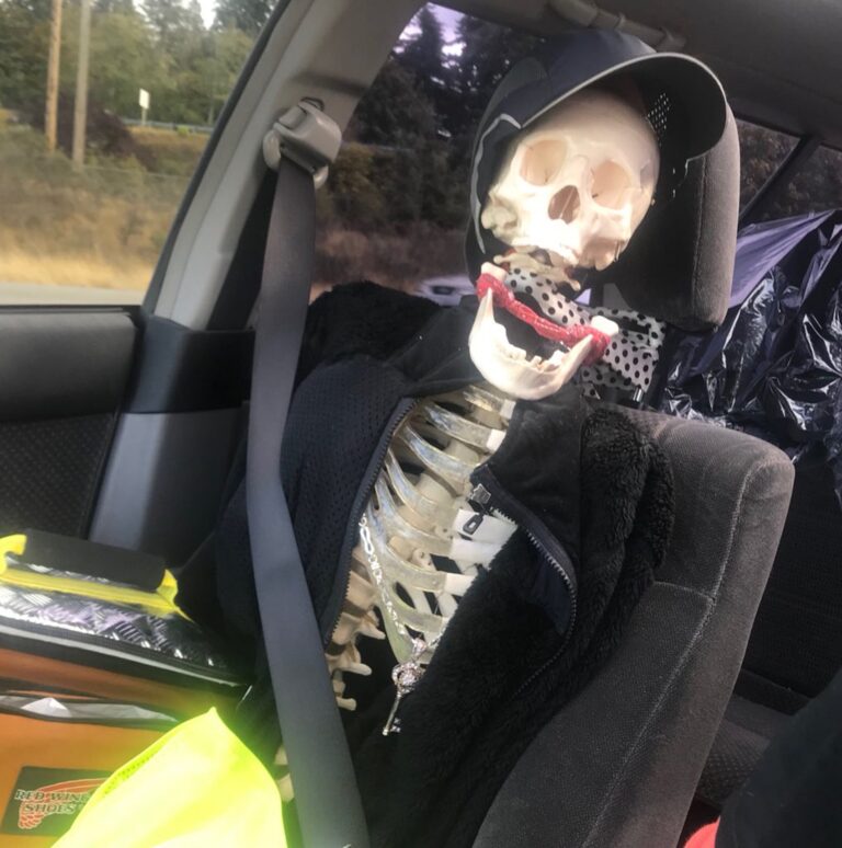 Motorista usa esqueleto de brinquedo para enganar polícia nos EUA
