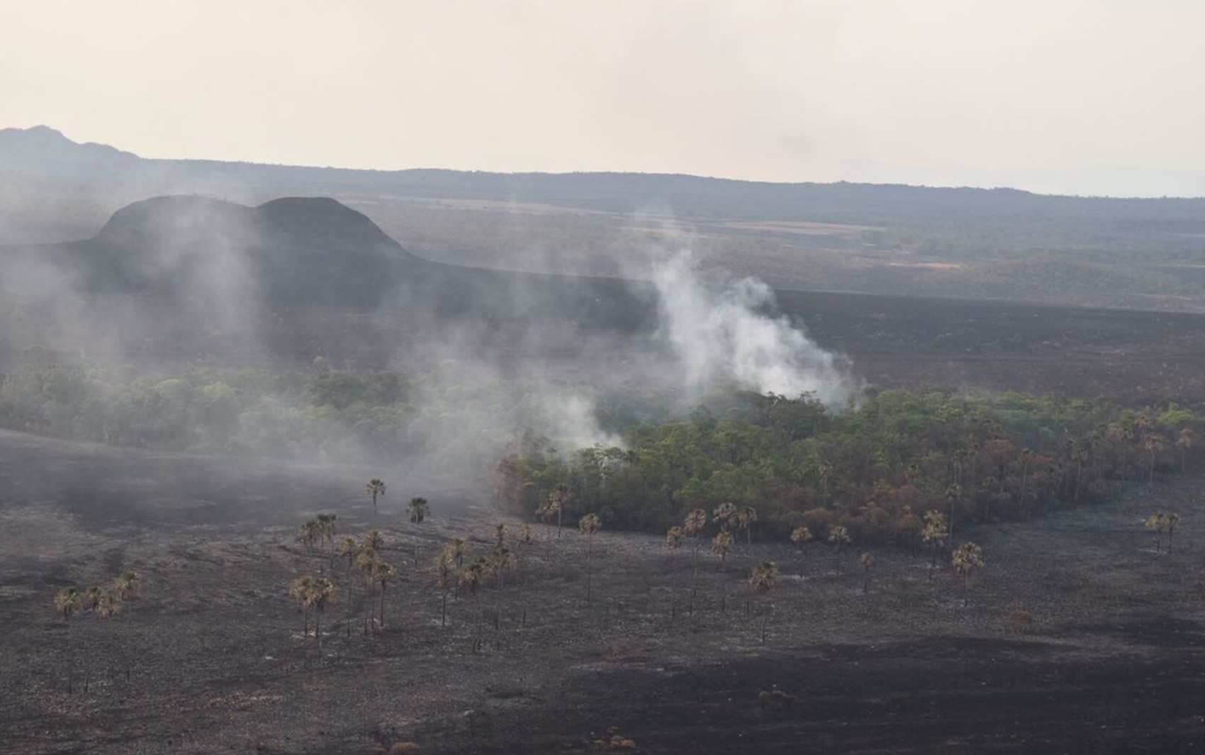 MPF apura causas de incêndio que destrói Parque Nacional da Chapada dos Veadeiros