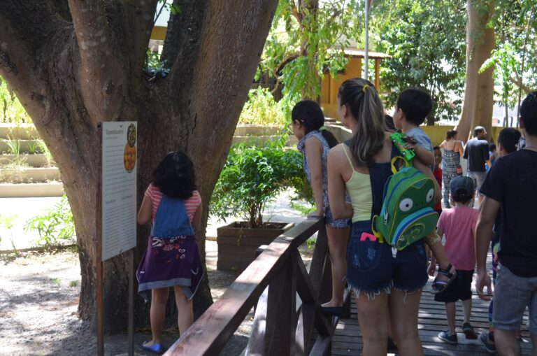 Semana de férias em museu de Macapá terá recreação, jogos e oficinas para as crianças