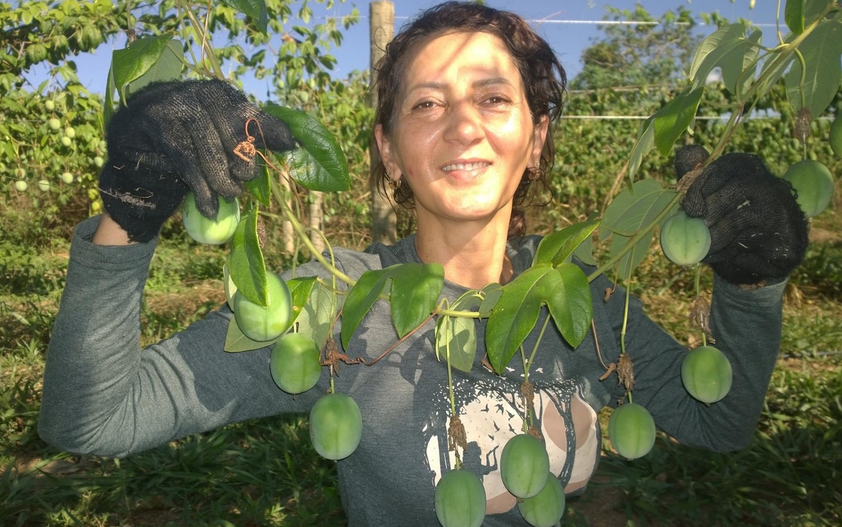 Tecnoshow 2017 começa nesta segunda-feira em Rio Verde, GO