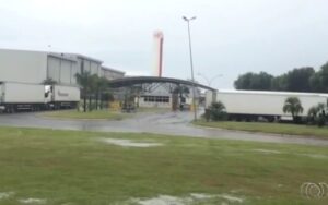 Transferência de perus para fábrica da BRF em Uberlândia é autorizada